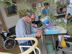 IMG_3955